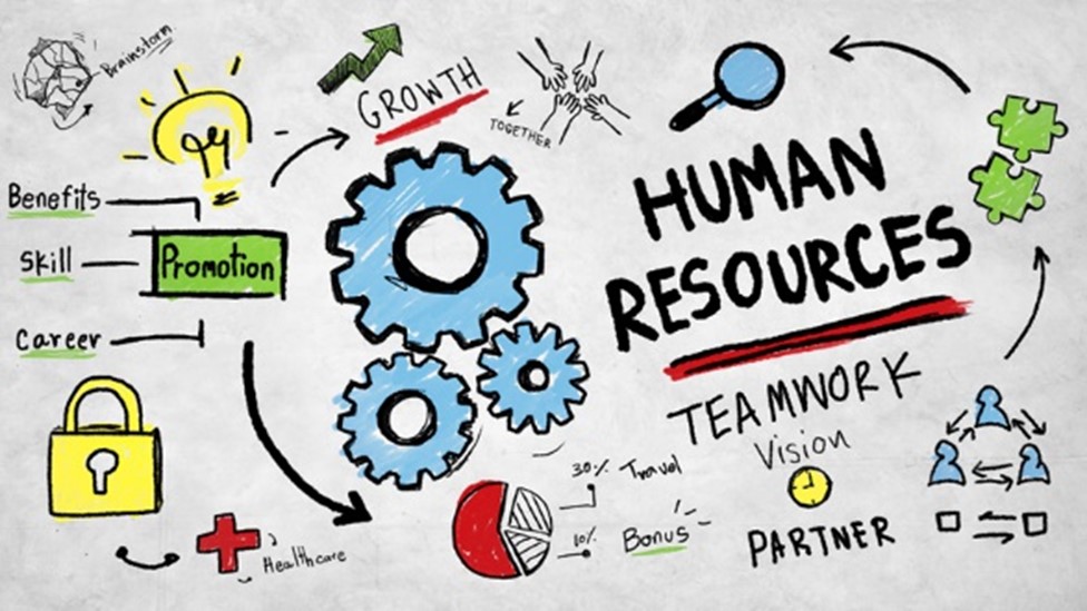 The Evolving Role of Human Resources